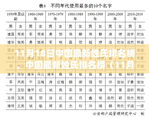 中国最新姓氏排名榜深度测评报告，特性揭秘、用户体验与竞品对比（11月版）