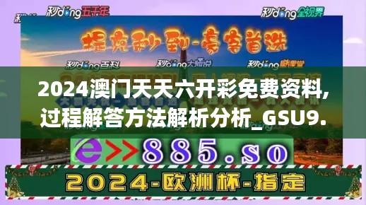 2024澳门天天六开彩免费资料,过程解答方法解析分析_GSU9.51.37特别版