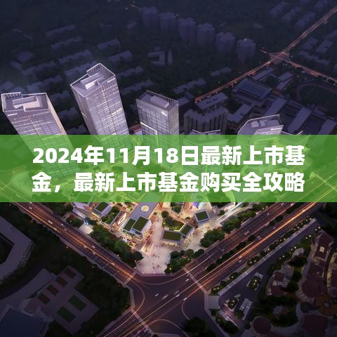 2024年11月18日最新上市基金购买全攻略与投资基金入门指南