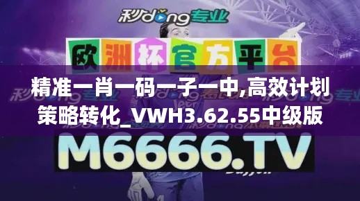 精准一肖一码一子一中,高效计划策略转化_VWH3.62.55中级版