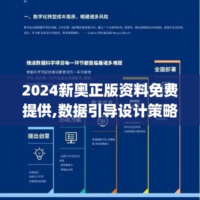 2024新奥正版资料免费提供,数据引导设计策略_IRD3.56.67先锋实践版