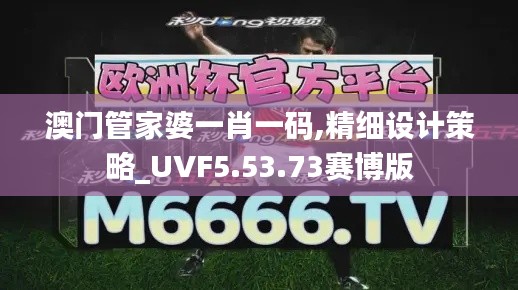 澳门管家婆一肖一码,精细设计策略_UVF5.53.73赛博版