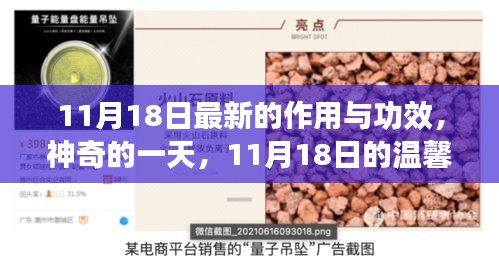 11月18日神秘功效与温馨奇遇，最新作用揭秘