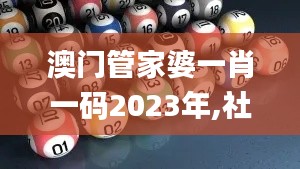 澳门管家婆一肖一码2023年,社会解答解释落实_YLP8.51.51动感版