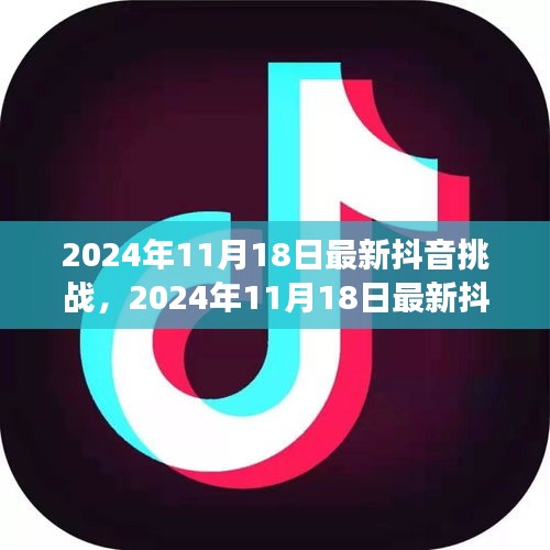 2024年11月18日抖音新挑战解析，创意玩法与成功案例引领潮流