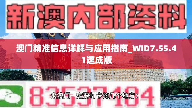 澳门精准信息详解与应用指南_WID7.55.41速成版