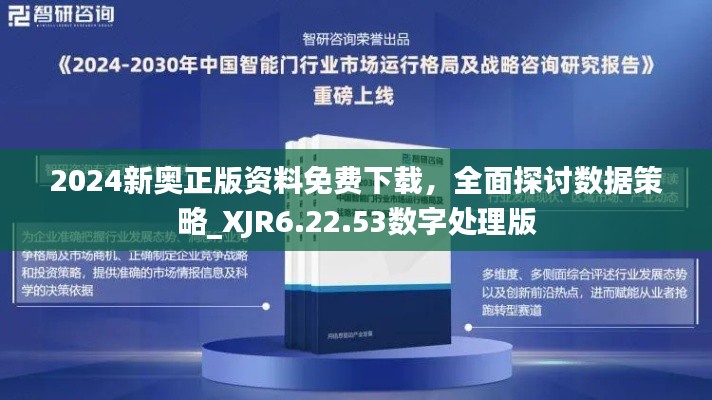 2024新奥正版资料免费下载，全面探讨数据策略_XJR6.22.53数字处理版