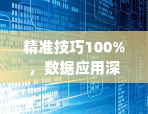 精准技巧100%，数据应用深入解析_GKB1.75.24梦想版本