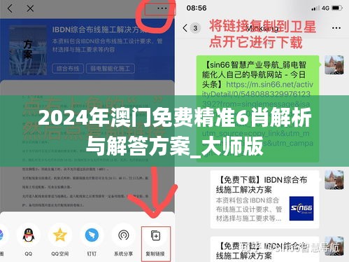 2024年澳门免费精准6肖解析与解答方案_大师版