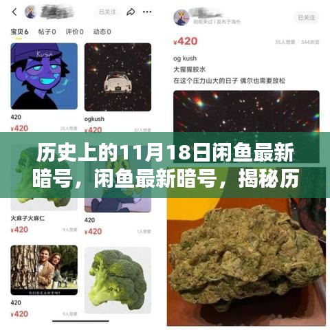 揭秘闲鱼最新暗号，历史上的秘密与影响回顾（附日期，11月18日）