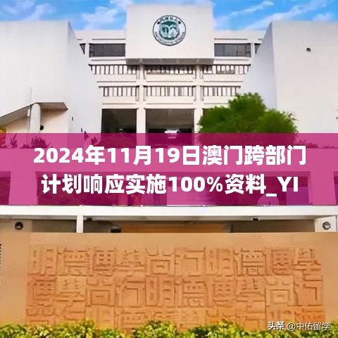 2024年11月19日澳门跨部门计划响应实施100%资料_YIA1.18.90理财版