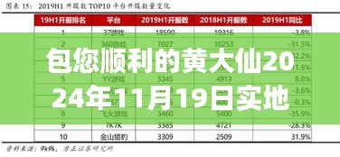 包您顺利的黄大仙2024年11月19日实地数据分析计划_NKG5.75.78增强版