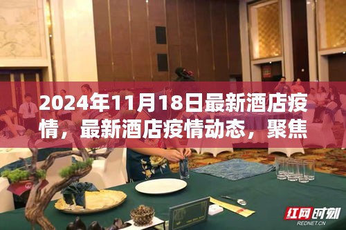 2024年11月18日酒店业抗疫新动态，聚焦疫情下的酒店业发展新篇章