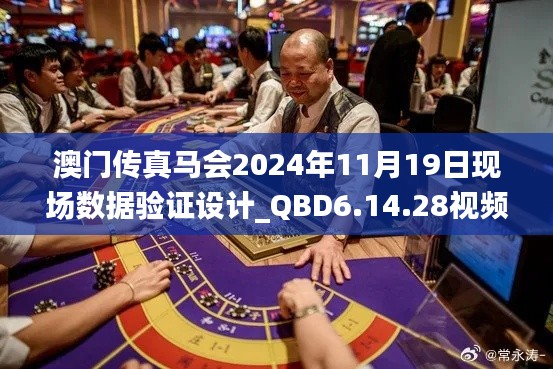 澳门传真马会2024年11月19日现场数据验证设计_QBD6.14.28视频版