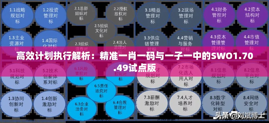 高效计划执行解析：精准一肖一码与一子一中的SWO1.70.49试点版