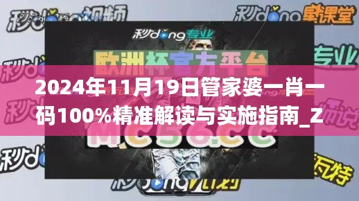 2024年11月19日管家婆一肖一码100%精准解读与实施指南_ZNY5.50.31精致版