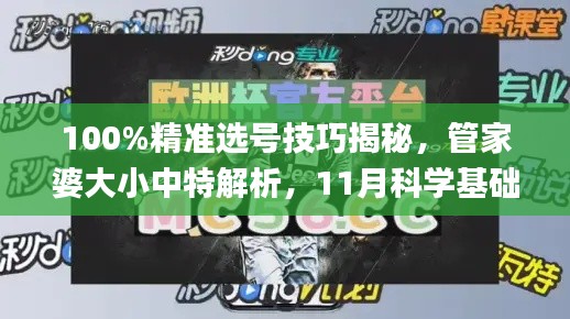 100%精准选号技巧揭秘，管家婆大小中特解析，11月科学基础解析_MOX5.53.36环境版