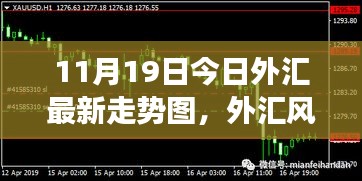 2024年11月19日 第13页