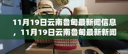 11月19日云南鲁甸最新新闻深度解析，特性、用户体验与目标用户群体探讨