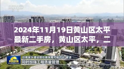 黄山区太平二手房市场新篇章，深度观察报告（最新动态，2024年11月19日）