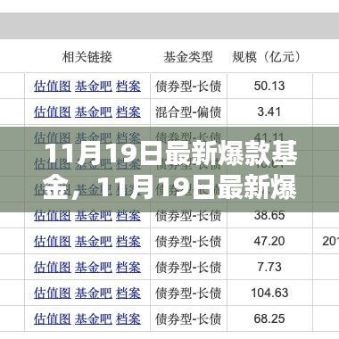 11月19日最新爆款基金全面评测与介绍，洞悉市场热门选择