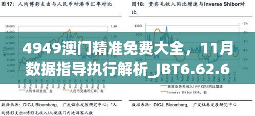 4949澳门精准免费大全，11月数据指导执行解析_JBT6.62.61悬浮版