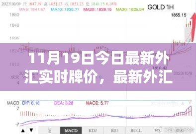 11月19日最新外汇实时牌价操作详解，初学者与进阶用户的外汇查询指南