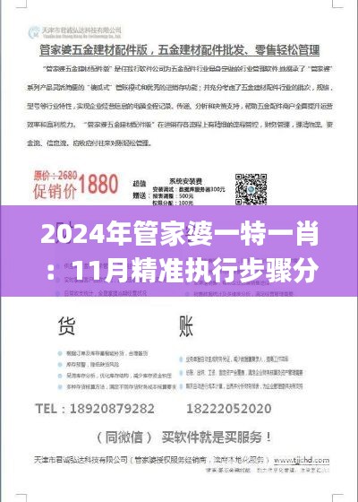 2024年管家婆一特一肖：11月精准执行步骤分析_HFG2.23.80版本