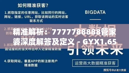 精准解析：7777788888管家婆深度解答及定义 - GYX1.65.26最佳版本（2024年11月19日）