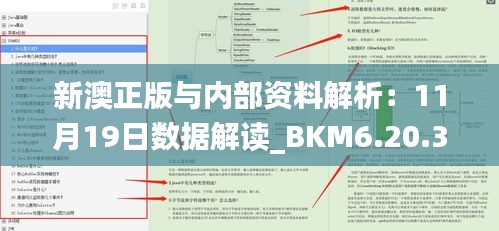 新澳正版与内部资料解析：11月19日数据解读_BKM6.20.35视频版