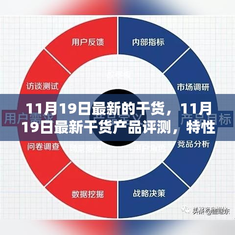 11月19日最新干货产品评测报告，特性详解、使用体验、竞品对比及用户群体深度解析