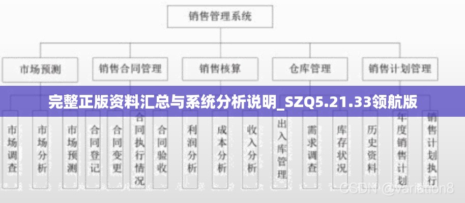 完整正版资料汇总与系统分析说明_SZQ5.21.33领航版