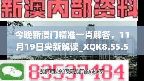 今晚新澳门精准一肖解答，11月19日尖新解读_XQK8.55.57可变版