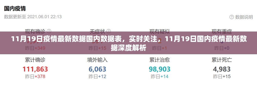 11月19日国内疫情最新数据深度解析与实时关注