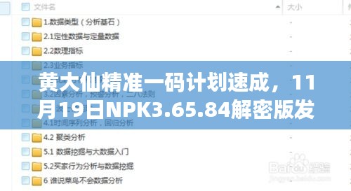 黄大仙精准一码计划速成，11月19日NPK3.65.84解密版发布