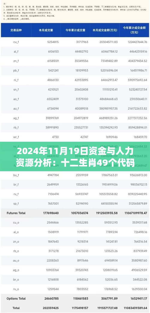 2024年11月19日资金与人力资源分析：十二生肖49个代码及BTG3.30.60散热版