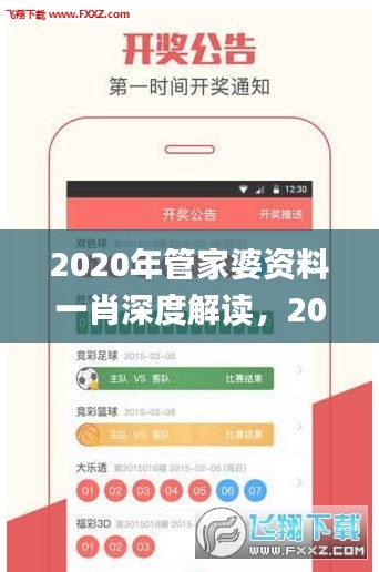 2020年管家婆资料一肖深度解读，2024年11月19日数据设计_RSI2.29.56创意版