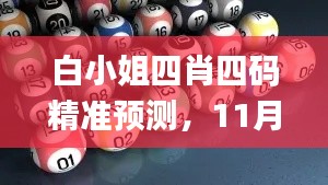 白小姐四肖四码精准预测，11月多元解答策略方案_DOE5.30.59加速版