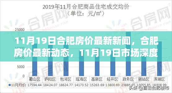 合肥房价最新动态与市场深度解析，11月19日报告