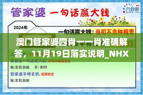 澳门管家婆四肖一一肖准确解答，11月19日落实说明_NHX5.40.75豪华版