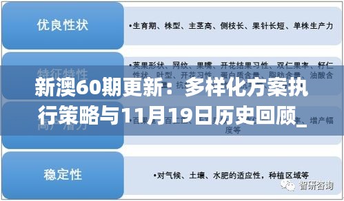 新澳60期更新：多样化方案执行策略与11月19日历史回顾_NDV2.69.44寓言版