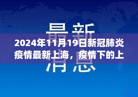 上海新冠疫情下的新篇章，学习变化，自信闪耀（2024年11月19日最新消息）