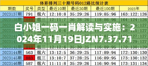 白小姐一码一肖解读与实施：2024年11月19日JZN7.37.71版本