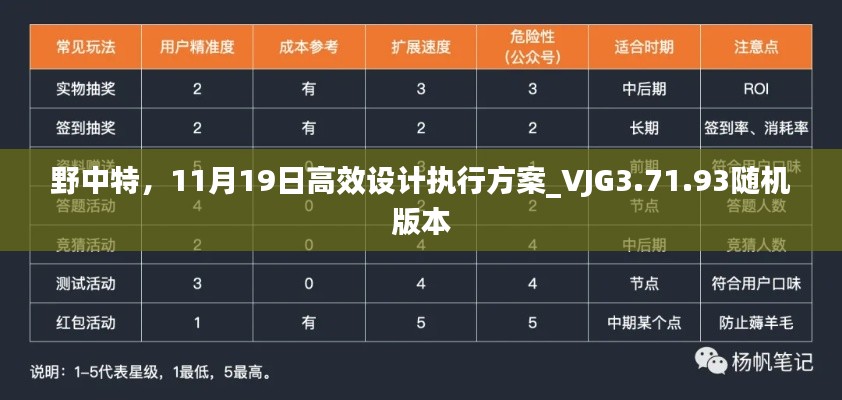 野中特，11月19日高效设计执行方案_VJG3.71.93随机版本