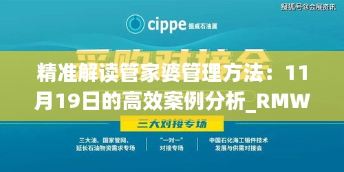 精准解读管家婆管理方法：11月19日的高效案例分析_RMW5.64.66精选版