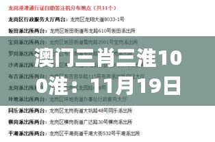 澳门三肖三淮100淮：11月19日历史实验解析与方法详解_OZO3.74.37动画版