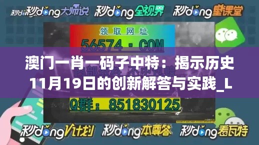 澳门一肖一码子中特：揭示历史11月19日的创新解答与实践_LSD7.71.87互动版