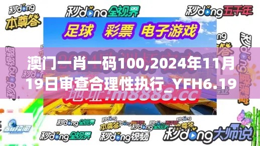 澳门一肖一码100,2024年11月19日审查合理性执行_YFH6.19.49经典版