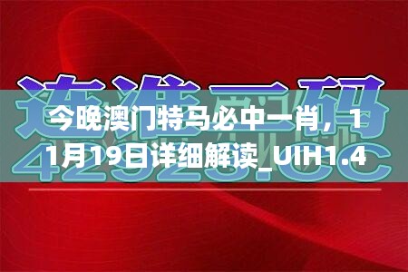 今晚澳门特马必中一肖，11月19日详细解读_UIH1.44.65初学者版