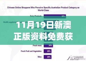 11月19日新澳正版资料免费获取，深入执行计划数据_QUP6.26.71传达版